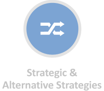 Strategic & Alternative Strategies